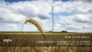 66ème Session annuelle de l’AP-OTAN - Réunion de la commission de l’économie et de la sécurité