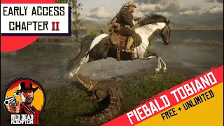 Brave & Strong horse for chapter 2 : RDR2