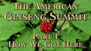 The American Ginseng Summit Part 1 How We Got Here