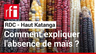 RDC : une pénurie de maïs frappe le Haut Katanga • RFI