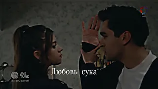 Сейран и Ферит//Зимородок//Любовь сука