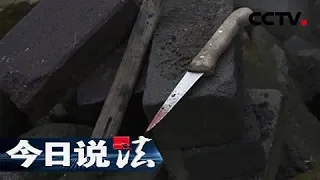 《今日说法》偏僻山村 独居女人遭人残杀死后被奸 凶手的特殊癖好成了破案关键 20150628 | CCTV今日说法官方频道