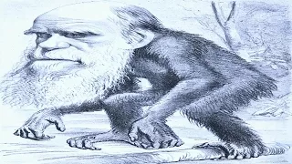 Darwin's Legacy