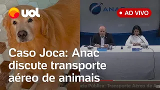 🔴 Caso Joca: Anac discute novas regras de transporte aéreo de animais após morte de cachorro