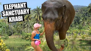 FEEDING ELEPHANTS (Krabi Elephant House Sanctuary)