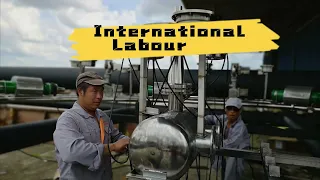 International Labour Day | Labor Day | Workers' Day