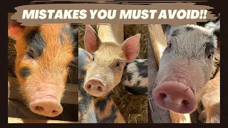 Duroc Berkshire Pigs | Seven Tips for New Pig Owners