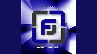 Would You Feel (Ziggy X Radio Edit)