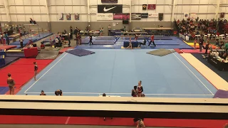 2019 Biles Invitational - Floor 9.475