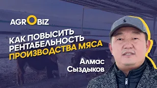 Мясной бизнес в Казахстане: как заработать больше? | ﻿﻿﻿﻿КХ Жаке | Agrobiz