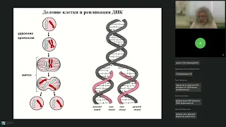 24.03.2023 Круглый стол для учителей биологии Современная биология и естественно научное образование