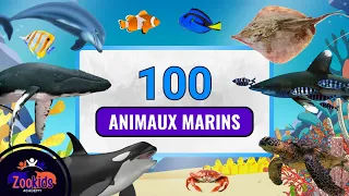 Collection de 100 Animaux marins - Apprendre les noms et regarder les vidéos des animaux aquatiques