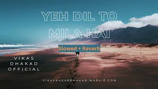 Yeh Dil To Mila Hai "Dil Ne Jise Apna Kaha" | Slowed & Reverb | Sonu Nigam, Alka Yagnik | Lofi Music