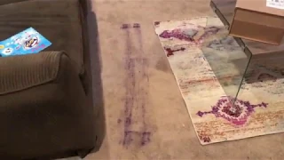 How to get ink out of carpet for Only .98 cents!