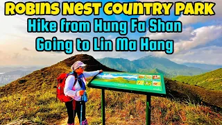 Summit of the Robins Nest Trail #hkvtuber #shortvideo #hongkongs #dayhike #hkhikers #nature