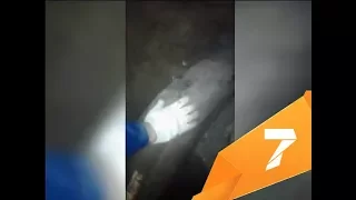 Рабочие алюминиевого завода нашли бивень мамонта и залили его бетоном