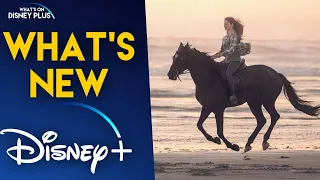 What's New On Disney+ | Black Beauty