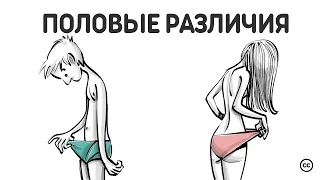 Половые Различия