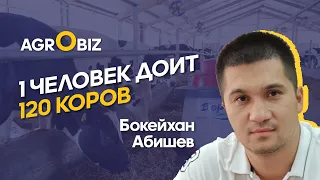 Натуральное молоко в Казахстане, доильные роботы и секрет качественных кормов | Борте Милка |AgroBiz