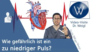 Bradykardie: Sind ein langsamer Puls & geringe Herzfrequenz gefährlich? Ursachen, Symptome, Therapie