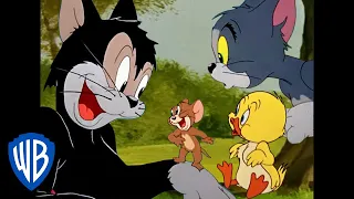 Tom i Jerry po polsku | Najlepsze postacie drugoplanowe | WB Kids