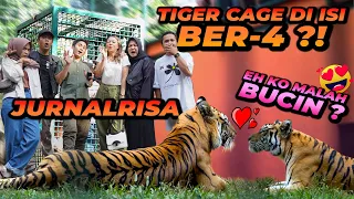 TIM JURNALRISA MASUK TIGER CAGE BER 4 ?! LEBIH SEREM HANTU ATAU HARIMAU ?