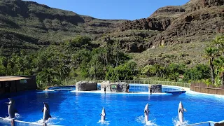 Palmitos Park Zoo, Botanic Parc, Aviary & Dolphinarium in Gran canaria, Spain (Dec 2018)