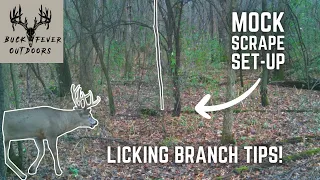 How to Set Up a MOCK SCRAPE | This LICKING BRANCH Really WORKS!