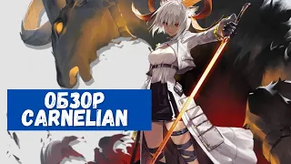 Обзор Carnelian | Arknights