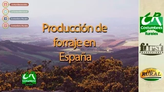 Producción de Forraje en España - Costumbres Rurales 577