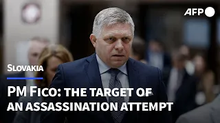 Slovakia's PM Robert Fico: the target of an assassination attempt | AFP