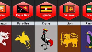 Animals Inside Country Flag of Different Countries