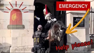 MANY TIMES 😡King’s Guard Smashes The EMERGENCY BUZZER  🚨 POOR HORSE