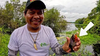 Piranha Hunting in the Amazon! Dangerous Amazon River!
