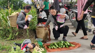 Single mother - Picking bitter melon to go to the market - Harvesting corn | Lý Thị Hải