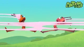 Sole Sister 🥮 ANTIKS | Moonbug Kids - Funny Cartoons and Animation