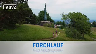 ASVZ Forchlauf - Der Abend-Halbmarathon mit drei Kategorien