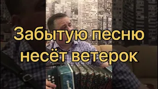 Забытую песню несёт ветерок на гармони