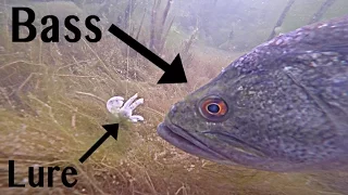 Bass Attack Lures GoPro Footage | Underwater Bass Fishing