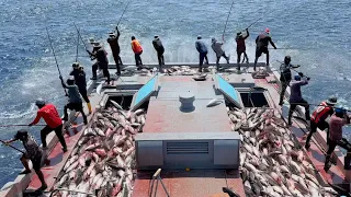 Full video of how we catch skipjack tuna watch till the end 🎣