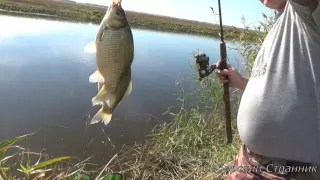 Рыбалка на крупного карася, на реке Чулым.