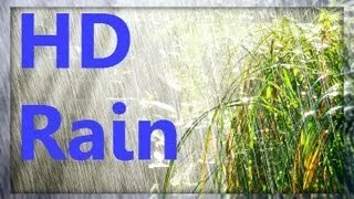 ☂ HD Rain Video - Watch Cold Lush Drops to Relax