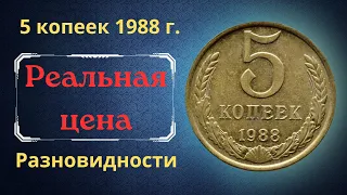 Реальная цена и обзор монеты 5 копеек 1988 года. Разновидности. СССР.