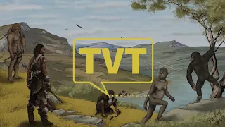 Série Evolução Humana na Rede TVT (Canal 44.1 HD)