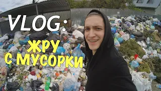 VLOG: Я ЖРУ С МУСОРКИ / Андрей Мартыненко ПРИВЕТ!