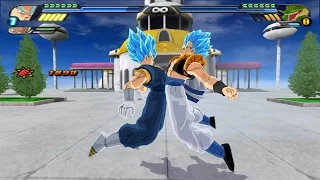 Gogetto SSJGSSJ fusion (Potaras) VS Shenron Z Warrior (Dragon Ball Z Tenkaichi 3 mod)