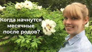 Когда начнутся месячные  после родов?