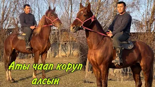 5 ЖАШ | КЫРГЫЗ ЖЫЛКЫСЫ 🐎 АТЫ ЧААП КОРУП АЛСЫН ДЕЙТ 🤩👍 Ислам аке ЭФИРДЕ