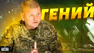 Он – гений: Жданов сказал, чем хорош Залужный