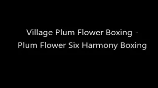 Village Plum Flower Boxing 梅花拳  - Plum Flower Six Harmony Boxing 梅花六合拳